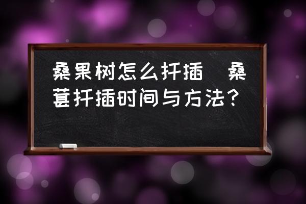 桑果樹怎么扦插(桑葚扦插時(shí)間與方法？)
