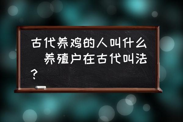 古代養(yǎng)雞的人叫什么(養(yǎng)殖戶在古代叫法？)