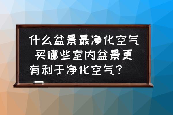 什么盆景最凈化空氣 買(mǎi)哪些室內(nèi)盆景更有利于凈化空氣？