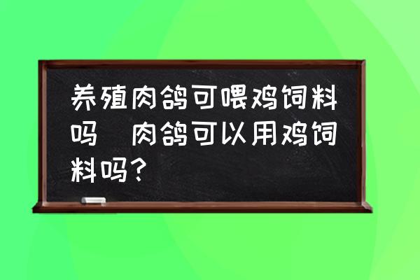 養(yǎng)殖肉鴿可喂雞飼料嗎(肉鴿可以用雞飼料嗎？)