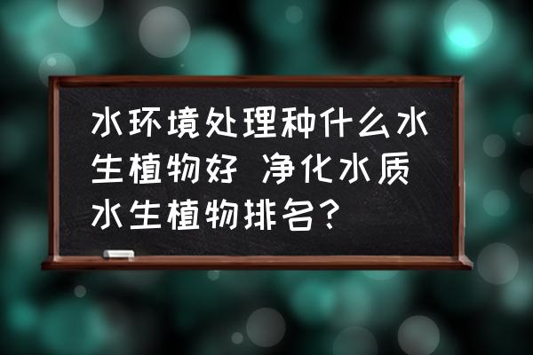 水環(huán)境處理種什么水生植物好 凈化水質(zhì)水生植物排名？