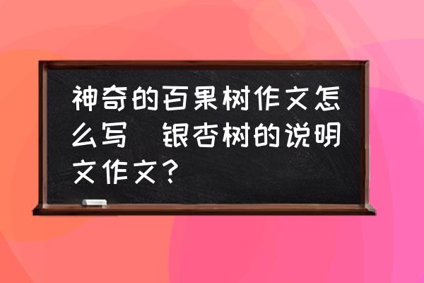 神奇的百果樹作文怎么寫(銀杏樹的說明文作文？)