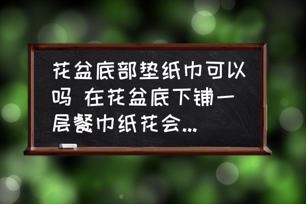 花盆底部墊紙巾可以嗎 在花盆底下鋪一層餐巾紙花會(huì)不會(huì)死？