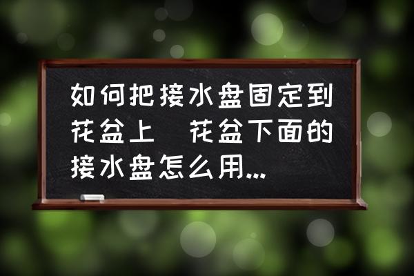 如何把接水盤固定到花盆上(花盆下面的接水盤怎么用？接完水要移開嗎？)