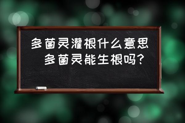 多菌靈灌根什么意思(多菌靈能生根嗎？)