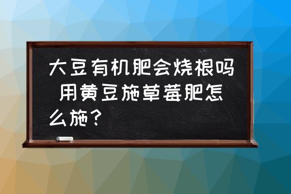 大豆有機肥會燒根嗎 用黃豆施草莓肥怎么施？
