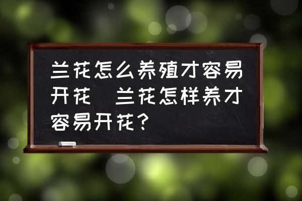蘭花怎么養(yǎng)殖才容易開花(蘭花怎樣養(yǎng)才容易開花？)