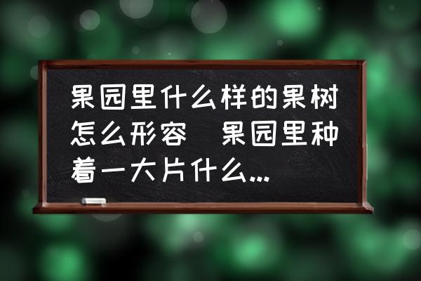 果園里什么樣的果樹(shù)怎么形容(果園里種著一大片什么樣的果樹(shù)？)