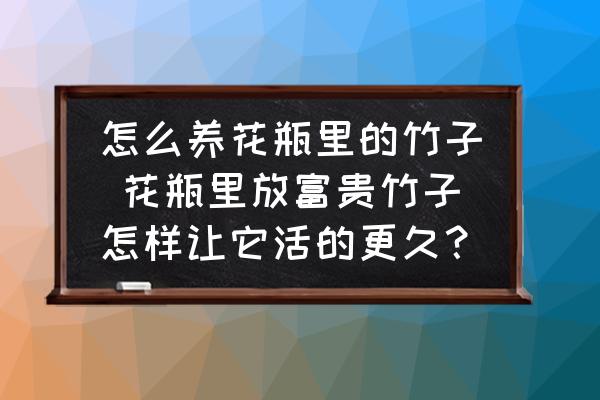 怎么養(yǎng)花瓶里的竹子 花瓶里放富貴竹子怎樣讓它活的更久？