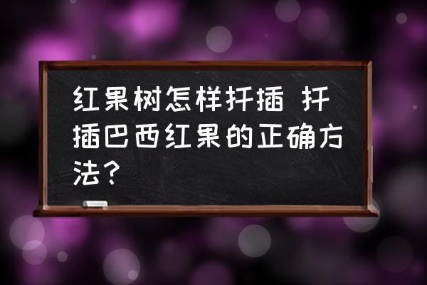 紅果樹怎樣扦插 扦插巴西紅果的正確方法？