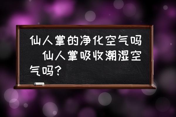 仙人掌的凈化空氣嗎(仙人掌吸收潮濕空氣嗎？)