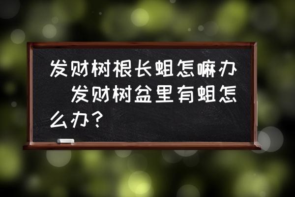 發(fā)財樹根長蛆怎嘛辦(發(fā)財樹盆里有蛆怎么辦？)