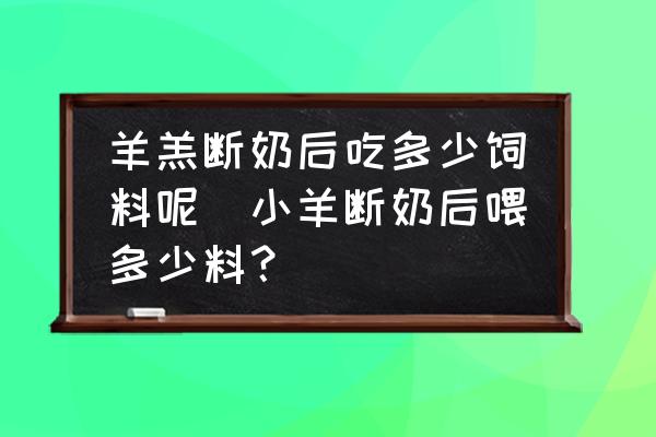 羊羔斷奶后吃多少飼料呢(小羊斷奶后喂多少料？)