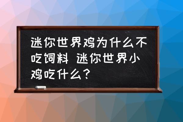 迷你世界雞為什么不吃飼料 迷你世界小雞吃什么？