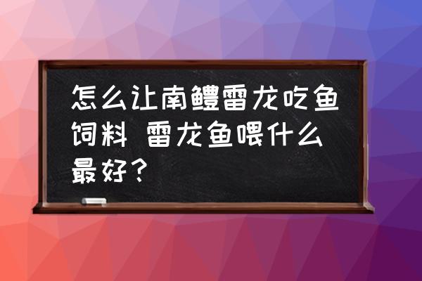 怎么讓南鱧雷龍吃魚(yú)飼料 雷龍魚(yú)喂什么最好？