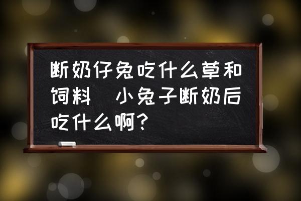 斷奶仔兔吃什么草和飼料(小兔子斷奶后吃什么啊？)