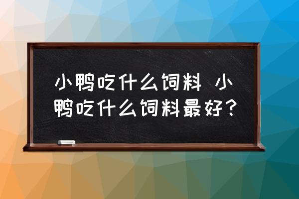 小鴨吃什么飼料 小鴨吃什么飼料最好？