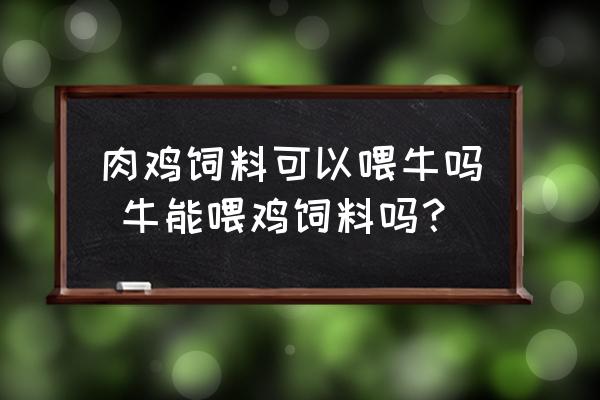 肉雞飼料可以喂牛嗎 牛能喂雞飼料嗎？