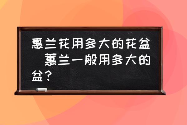 惠蘭花用多大的花盆(蕙蘭一般用多大的盆？)