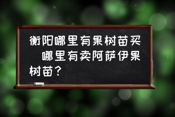 衡陽哪里有果樹苗買(哪里有賣阿薩伊果樹苗？)