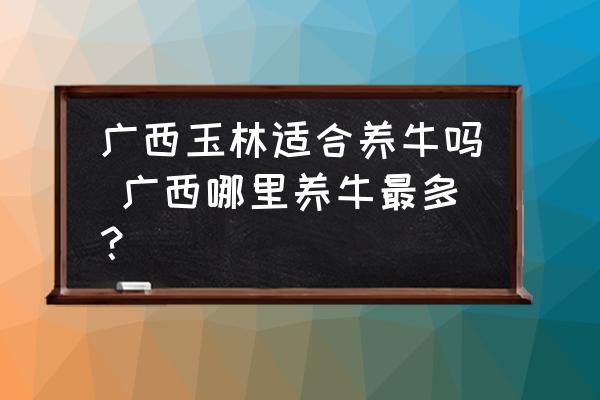 廣西玉林適合養(yǎng)牛嗎 廣西哪里養(yǎng)牛最多？