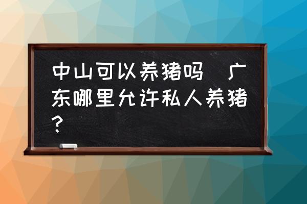 中山可以養(yǎng)豬嗎(廣東哪里允許私人養(yǎng)豬？)