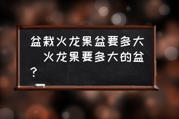 盆栽火龍果盆要多大(火龍果要多大的盆？)