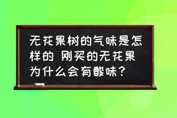 無花果樹的氣味是怎樣的 剛買的無花果為什么會有酸味？
