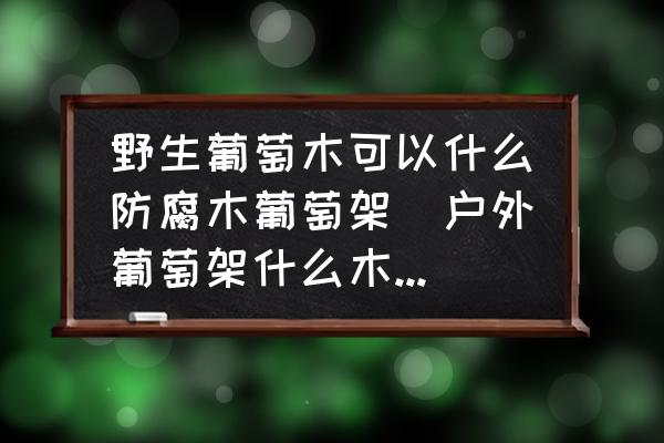 野生葡萄木可以什么防腐木葡萄架(戶外葡萄架什么木頭好？)