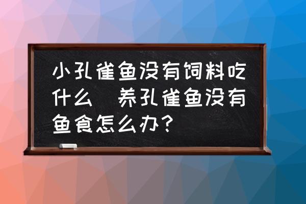 小孔雀魚沒有飼料吃什么(養(yǎng)孔雀魚沒有魚食怎么辦？)