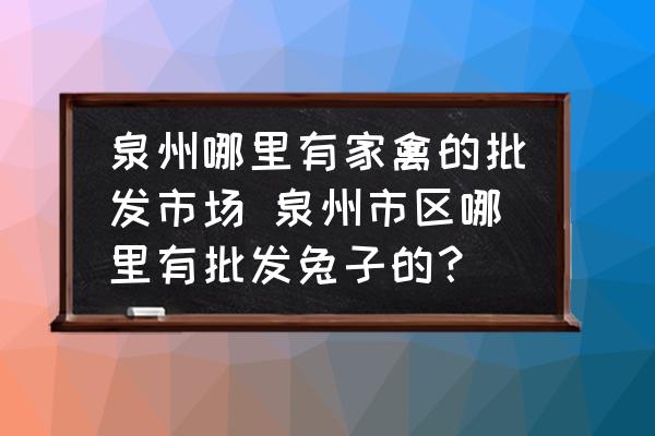 泉州哪里有家禽的批發(fā)市場 泉州市區(qū)哪里有批發(fā)兔子的？