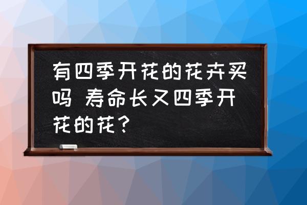 有四季開花的花卉買嗎 壽命長又四季開花的花？