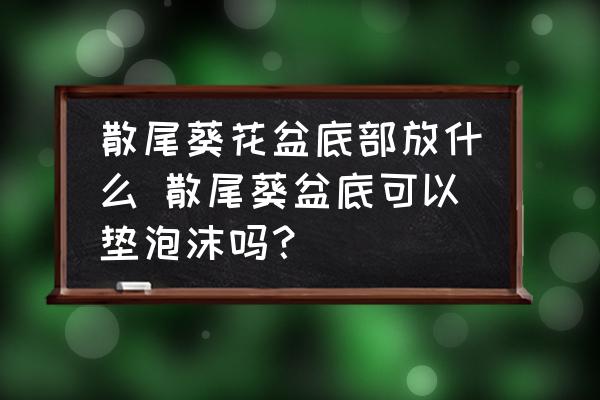 散尾葵花盆底部放什么 散尾葵盆底可以墊泡沫嗎？