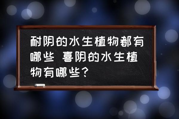 耐陰的水生植物都有哪些 喜陰的水生植物有哪些？
