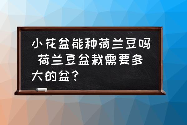 小花盆能種荷蘭豆嗎 荷蘭豆盆栽需要多大的盆？