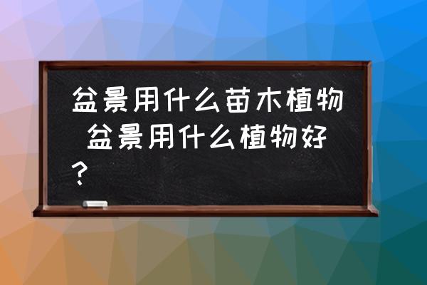 盆景用什么苗木植物 盆景用什么植物好？