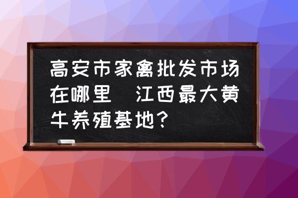 高安市家禽批發(fā)市場在哪里(江西最大黃牛養(yǎng)殖基地？)