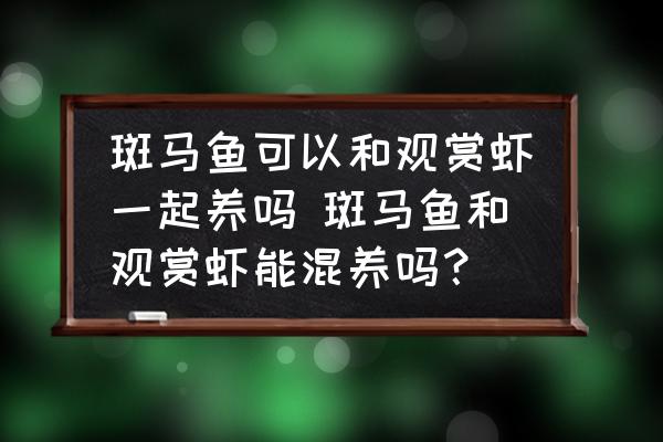 斑馬魚可以和觀賞蝦一起養(yǎng)嗎 斑馬魚和觀賞蝦能混養(yǎng)嗎？