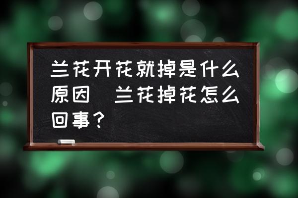蘭花開花就掉是什么原因(蘭花掉花怎么回事？)