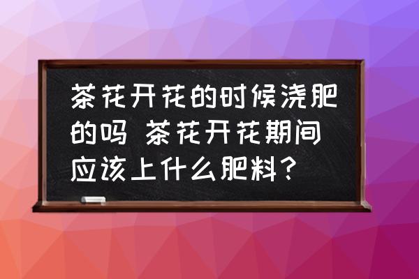 茶花開花的時候澆肥的嗎 茶花開花期間應(yīng)該上什么肥料？