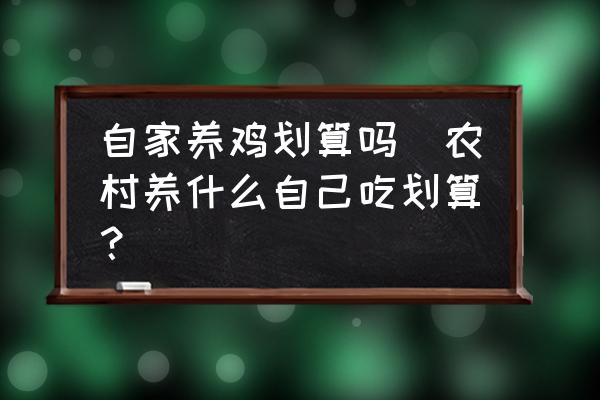 自家養(yǎng)雞劃算嗎(農(nóng)村養(yǎng)什么自己吃劃算？)