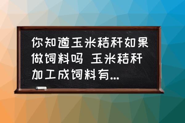 你知道玉米秸稈如果做飼料嗎 玉米秸稈加工成飼料有哪些技術方法？