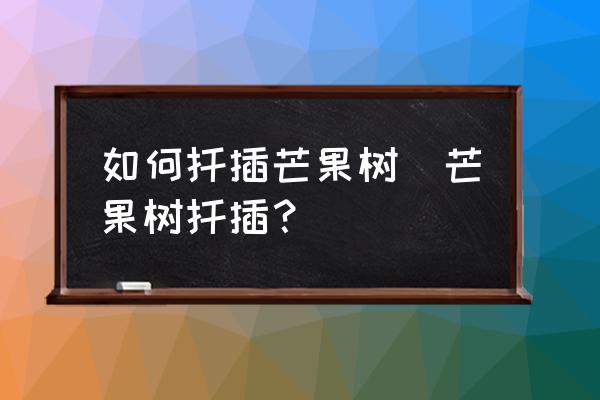 如何扦插芒果樹(芒果樹扦插？)