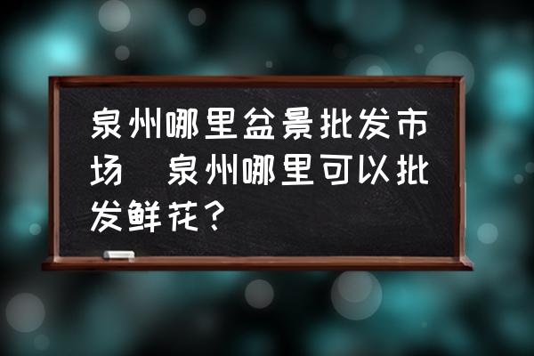 泉州哪里盆景批發(fā)市場(chǎng)(泉州哪里可以批發(fā)鮮花？)