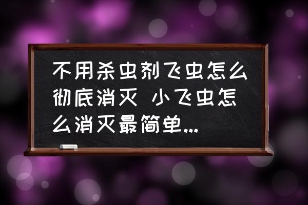 不用殺蟲劑飛蟲怎么徹底消滅 小飛蟲怎么消滅最簡單的方法？