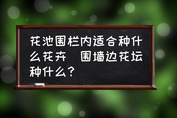 花池圍欄內(nèi)適合種什么花卉(圍墻邊花壇種什么？)