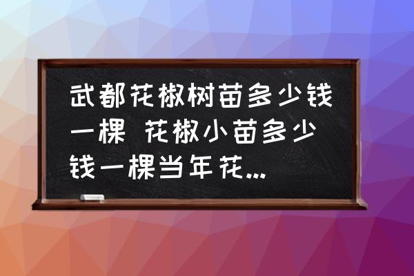 武都花椒樹苗多少錢一棵 花椒小苗多少錢一棵當年花椒苗報價？