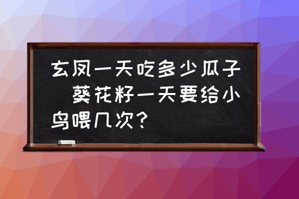 玄鳳一天吃多少瓜子(葵花籽一天要給小鳥喂幾次？)