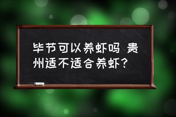 畢節(jié)可以養(yǎng)蝦嗎 貴州適不適合養(yǎng)蝦？