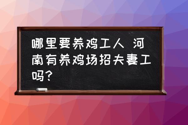 哪里要養(yǎng)雞工人 河南有養(yǎng)雞場(chǎng)招夫妻工嗎？